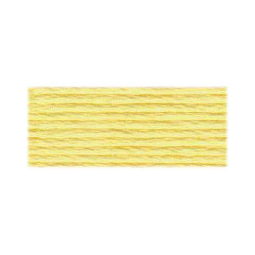 DMC #117 Cotton 6 Strand Floss 8m - 3078