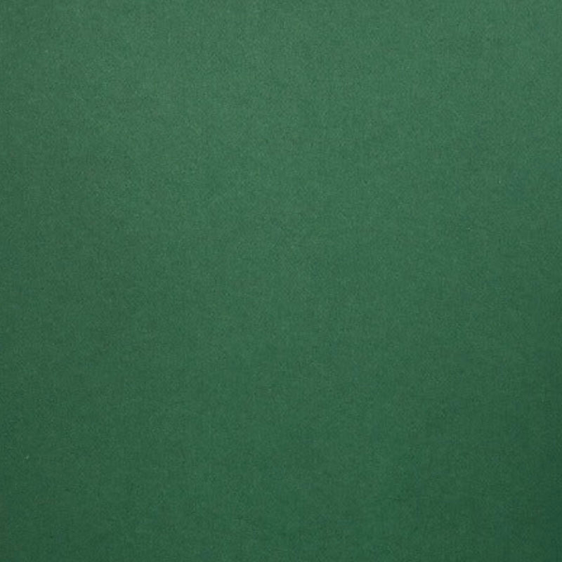 Forest Green 65lb 8.5x 11 Cardstock by Colorplan