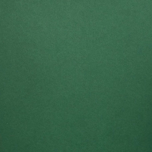 Forest Green 65lb 8.5x 11 Cardstock by Colorplan